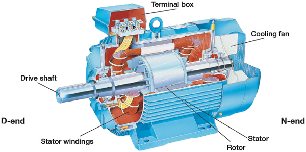 Elements of an AC induction motor Elements of an AC induction motor